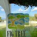 Fig Tree Villa