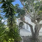 Fig Tree Fánai