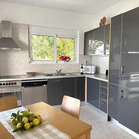 Fig Tree * Fanes (Rhodes)