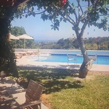 Fig Tree Fanes (Rhodes)