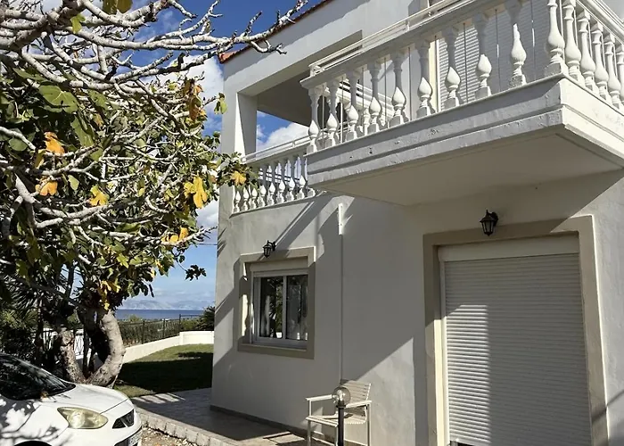 Fig Tree * Fanes (Rhodes)