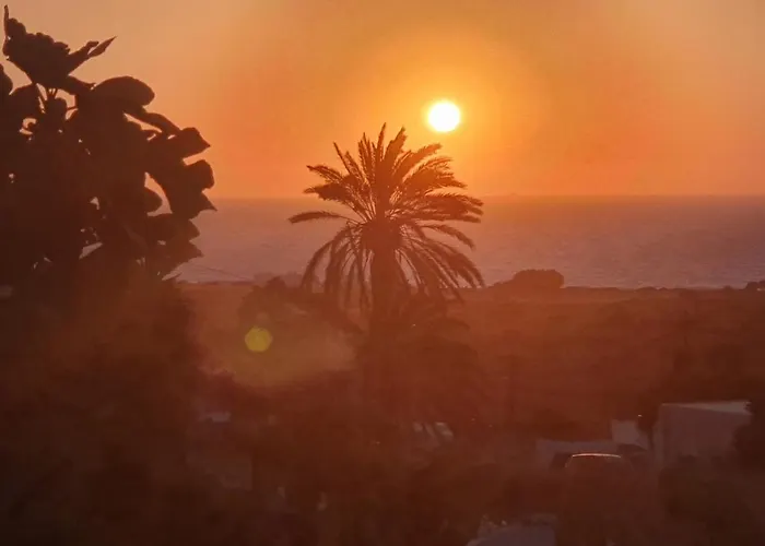 Fig Tree فيلة Fánai