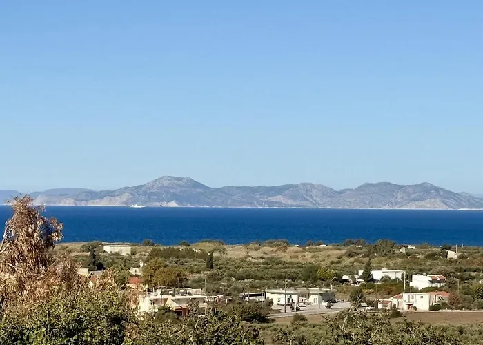 Fig Tree * Фанай